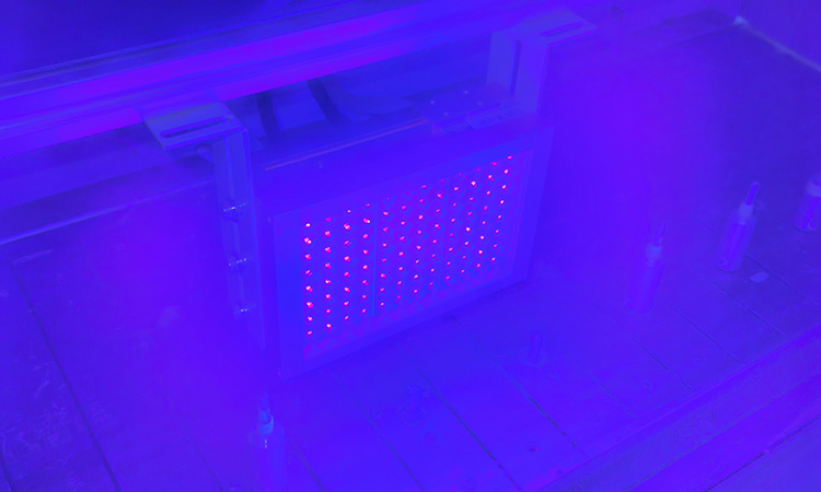 What is an LEDUV Cold Light Source Curing Lamp?