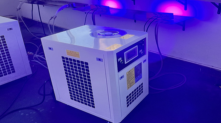 Why Does the LED UV Curing Machine Emit Heat Despite Being a Cold Light Source?