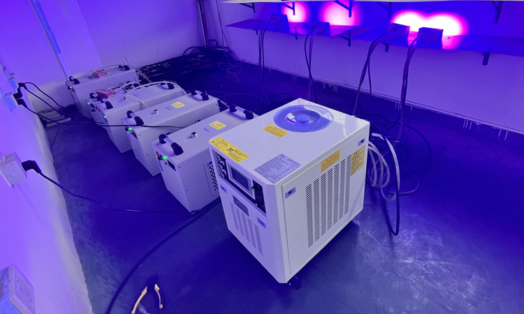 Application of LED UV Curing Lamps in Optical Lens Processing